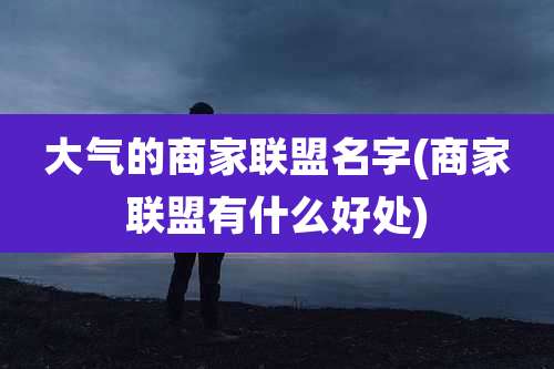 大气的商家联盟名字(商家联盟有什么好处)