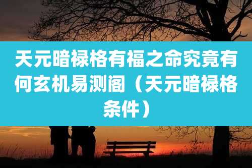天元暗禄格有福之命究竟有何玄机易测阁(天元暗禄格条件)