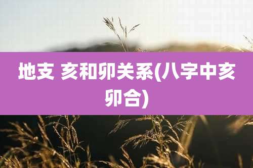 地支 亥和卯关系(八字中亥卯合)