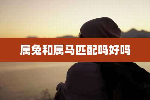 属兔和属马匹配吗好吗