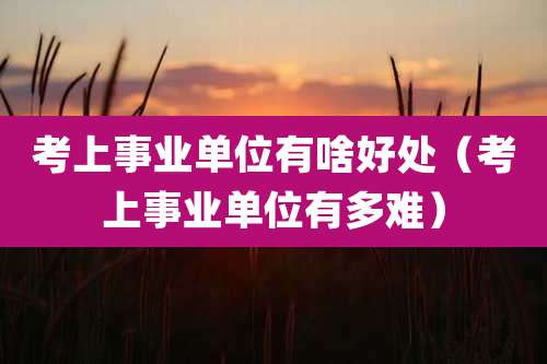 考上事业单位有啥好处(考上事业单位有多难)