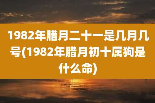 1982年腊月二十一是几月几号(1982年腊月初十属狗是什么命)