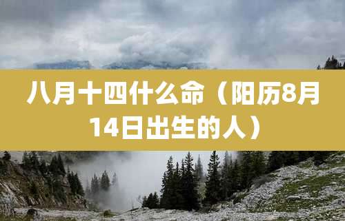 八月十四什么命（阳历8月14日出生的人）