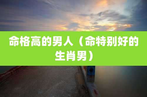 命格高的男人（命特别好的生肖男）