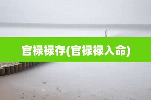 官禄禄存(官禄禄入命)