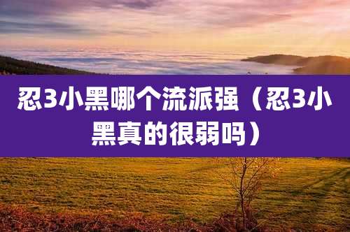 忍3小黑哪个流派强（忍3小黑真的很弱吗）