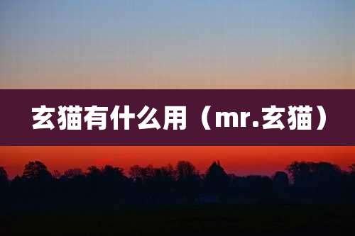 玄猫有什么用（mr.玄猫）