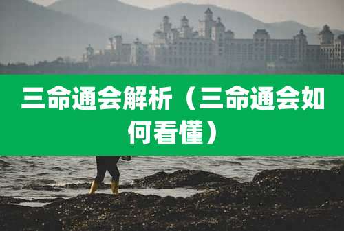三命通会解析（三命通会如何看懂）