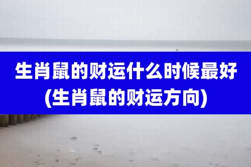 生肖鼠的财运什么时候最好(生肖鼠的财运方向)