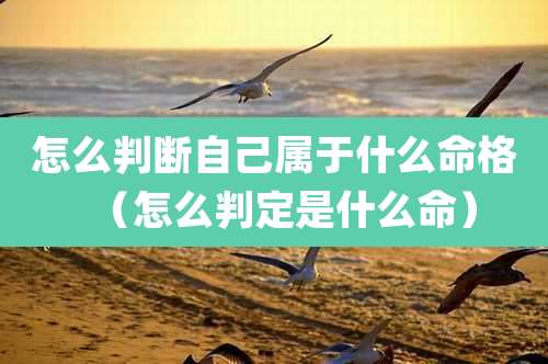 怎么判断自己属于什么命格（怎么判定是什么命）