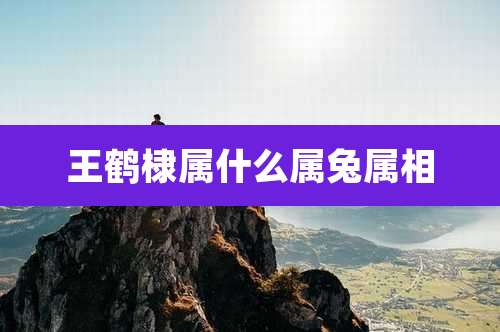 王鹤棣属什么属兔属相