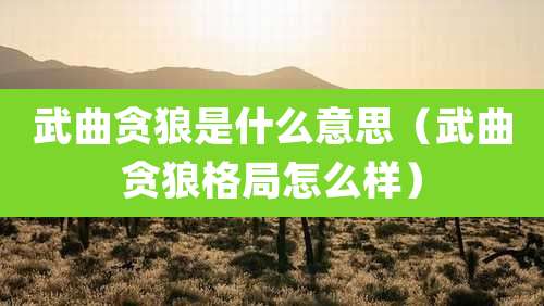 武曲贪狼是什么意思（武曲贪狼格局怎么样）