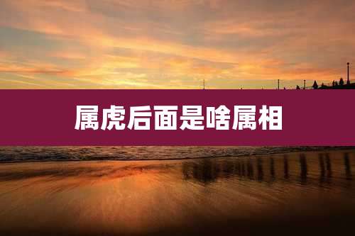 属虎后面是啥属相