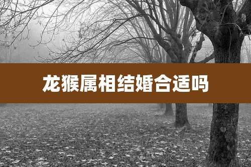 龙猴属相结婚合适吗
