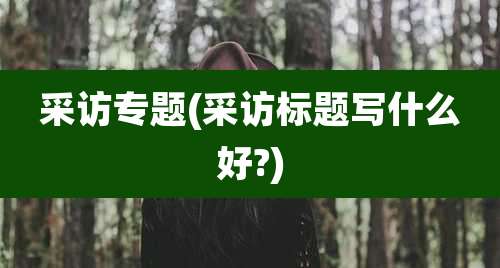 采访专题(采访标题写什么好?)