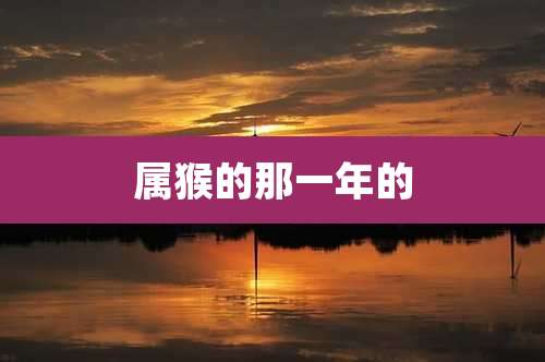 属猴的那一年的