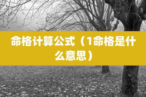 命格计算公式（1命格是什么意思）