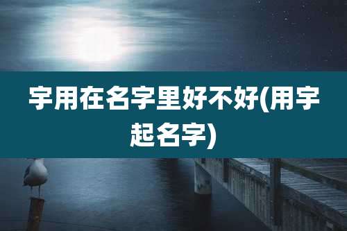宇用在名字里好不好(用宇起名字)