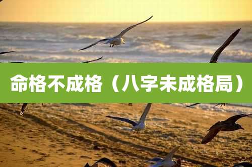 命格不成格（八字未成格局）