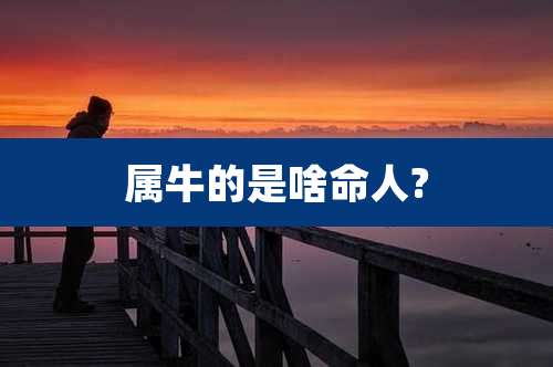 属牛的是啥命人?