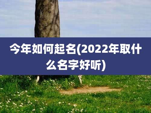 今年如何起名(2022年取什么名字好听)