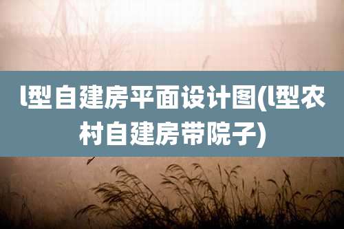 l型自建房平面设计图(l型农村自建房带院子)