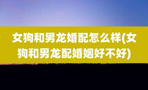 女狗和男龙婚配怎么样(女狗和男龙配婚姻好不好)