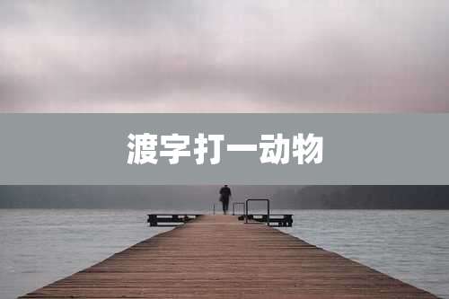 渡字打一动物