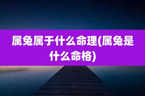 属兔属于什么命理(属兔是什么命格)
