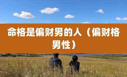 命格是偏财男的人(偏财格男性)