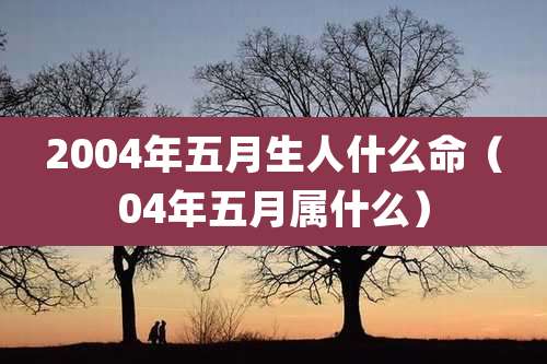 2004年五月生人什么命（04年五月属什么）