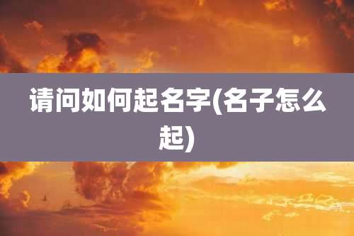 请问如何起名字(名子怎么起)