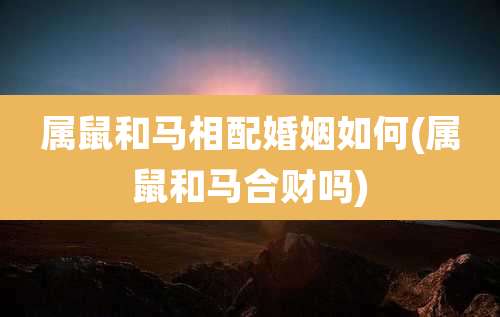 属鼠和马相配婚姻如何(属鼠和马合财吗)