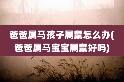 爸爸属马孩子属鼠怎么办(爸爸属马宝宝属鼠好吗)