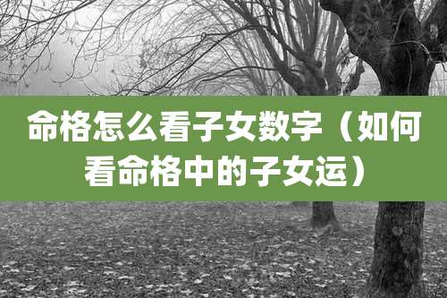 命格怎么看子女数字（如何看命格中的子女运）