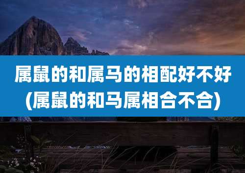 属鼠的和属马的相配好不好(属鼠的和马属相合不合)