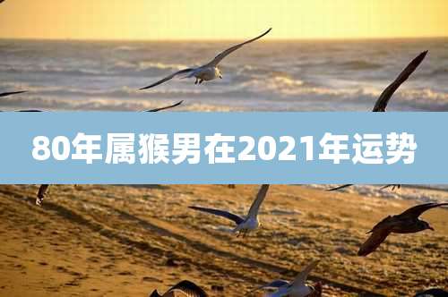 80年属猴男在2021年运势