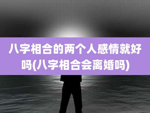 八字相合的两个人感情就好吗(八字相合会离婚吗)