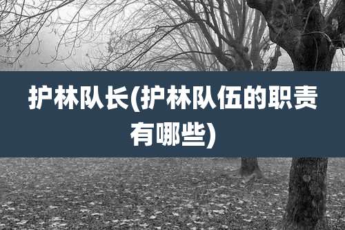 护林队长(护林队伍的职责有哪些)