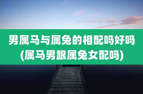 男属马与属兔的相配吗好吗(属马男跟属兔女配吗)