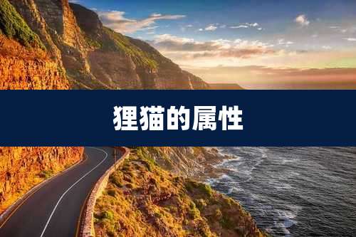 狸猫的属性