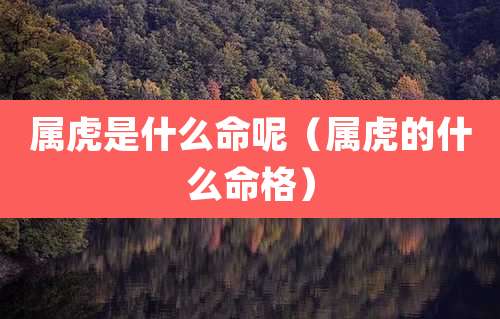 属虎是什么命呢（属虎的什么命格）