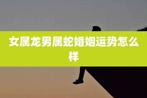 女属龙男属蛇婚姻运势怎么样