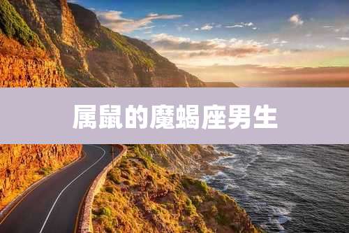 属鼠的魔蝎座男生