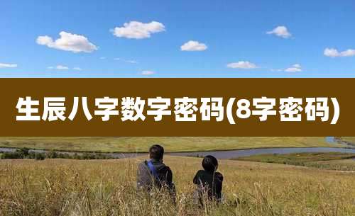 生辰八字数字密码(8字密码)