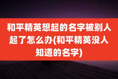 和平精英想起的名字被别人起了怎么办(和平精英没人知道的名字)