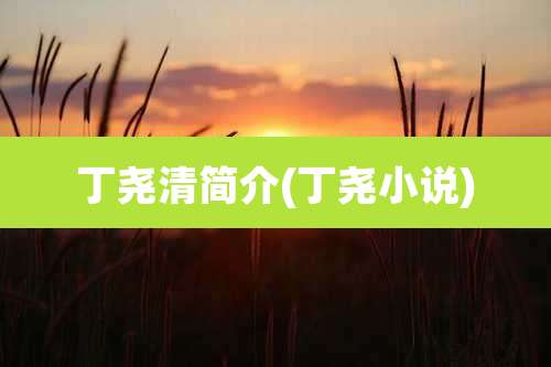 丁尧清简介(丁尧小说)