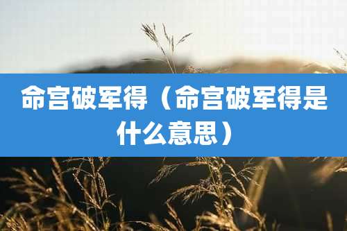 命宫破军得（命宫破军得是什么意思）