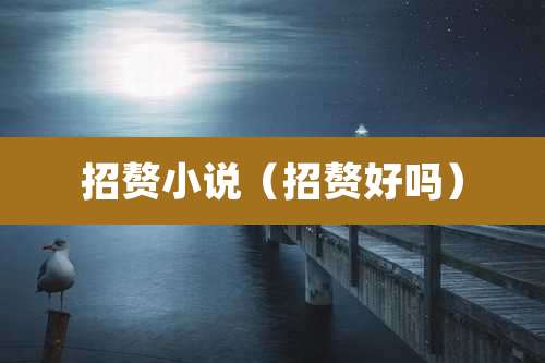 招赘小说（招赘好吗）