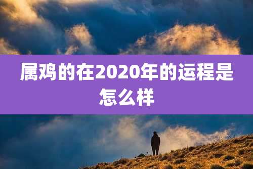 属鸡的在2020年的运程是怎么样